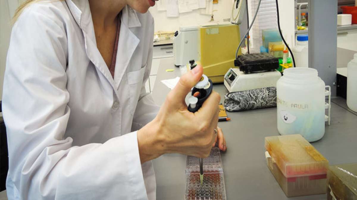 Mikrobiologen sind Schlüsselfiguren in Bereichen wie Gesundheitswesen, Landwirtschaft, Umweltschutz und Lebensmittelproduktion und tragen dazu bei, komplexe Herausforderungen zu bewältigen und die Welt zu schützen.