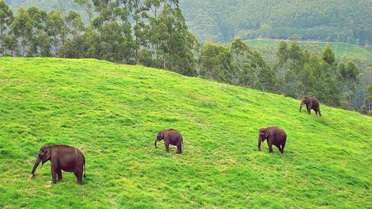 Der Internationale Tag der Biosphärenreservate, der am 3. November begangen wird, unterstreicht die Bedeutung dieser Naturgebiete für die Erhaltung der Ökosysteme und der biologischen Vielfalt, die Förderung der Forschung, der nachhaltigen Entwicklung