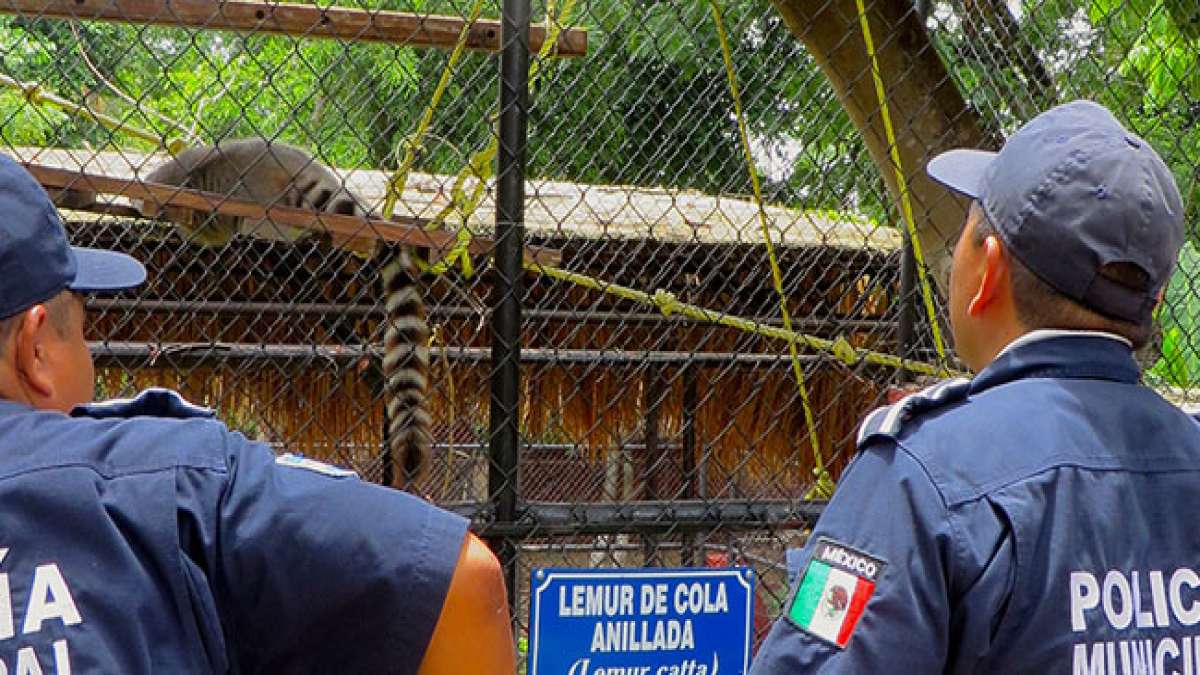 Mexiko ehrt die Kriminologen: Ein Tag der Expertise und der Leidenschaft.