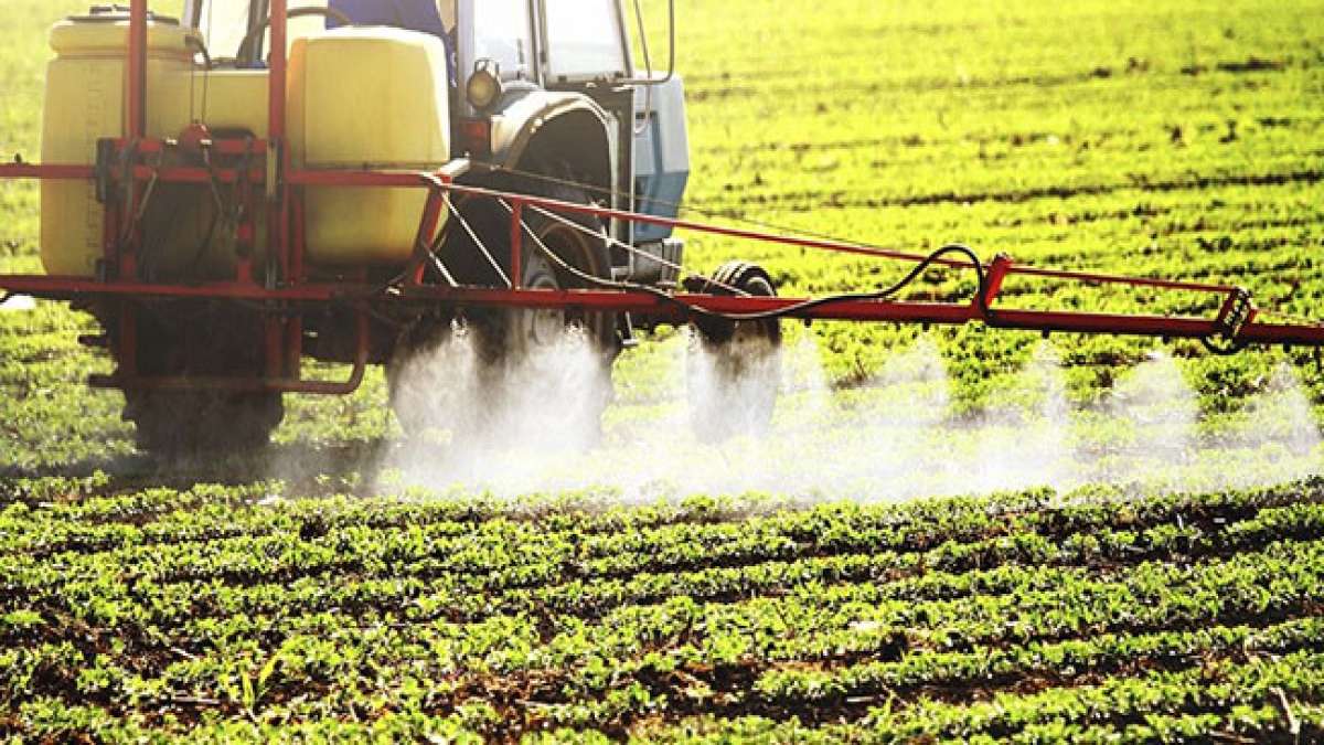 Welttag gegen Agrochemikalien: Ein Tag für mehr Nachhaltigkeit.