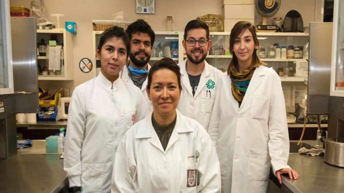 Feiern Sie den Tag des Physikers in Mexiko und entdecken Sie die faszinierende Welt der Physik, die die Grundlage für bahnbrechende Technologien und Fortschritte im menschlichen Leben bildet.