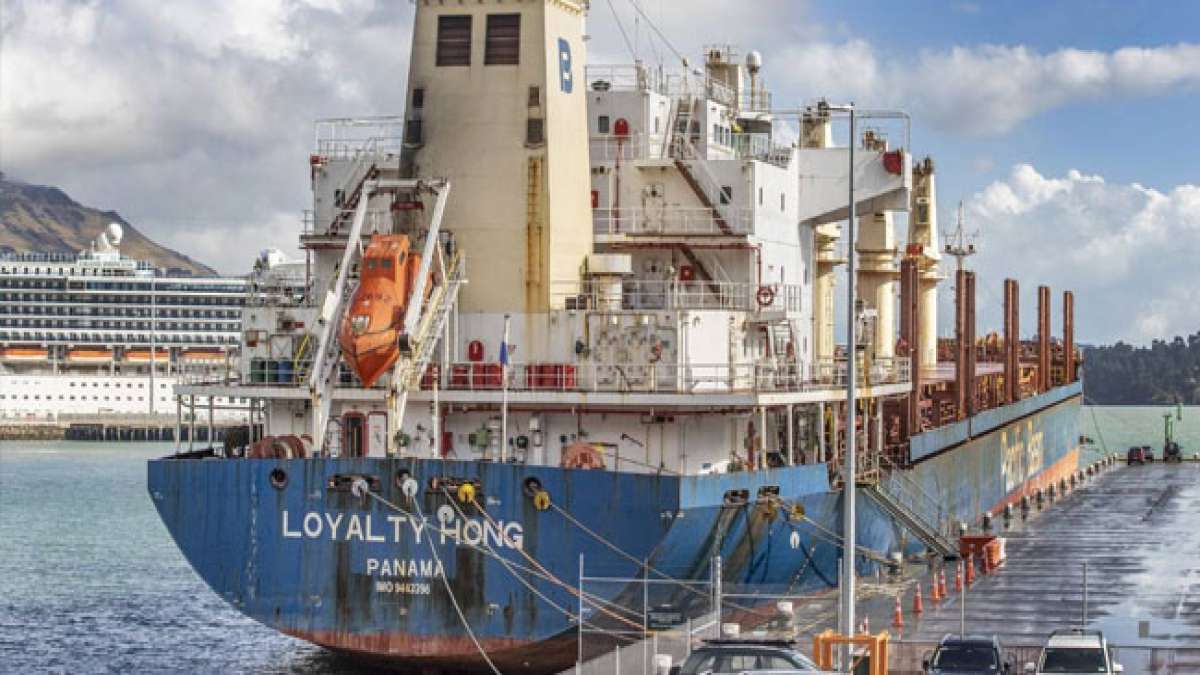 Tauchen Sie ein in die spannenden Ereignisse dieses Tages, der die Loyalität und Entschlossenheit einer Nation feiert.