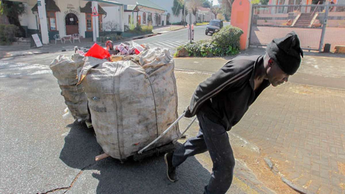 Entdecke die Bedeutung ihrer Arbeit und ihr Engagement für eine nachhaltigere Umwelt.