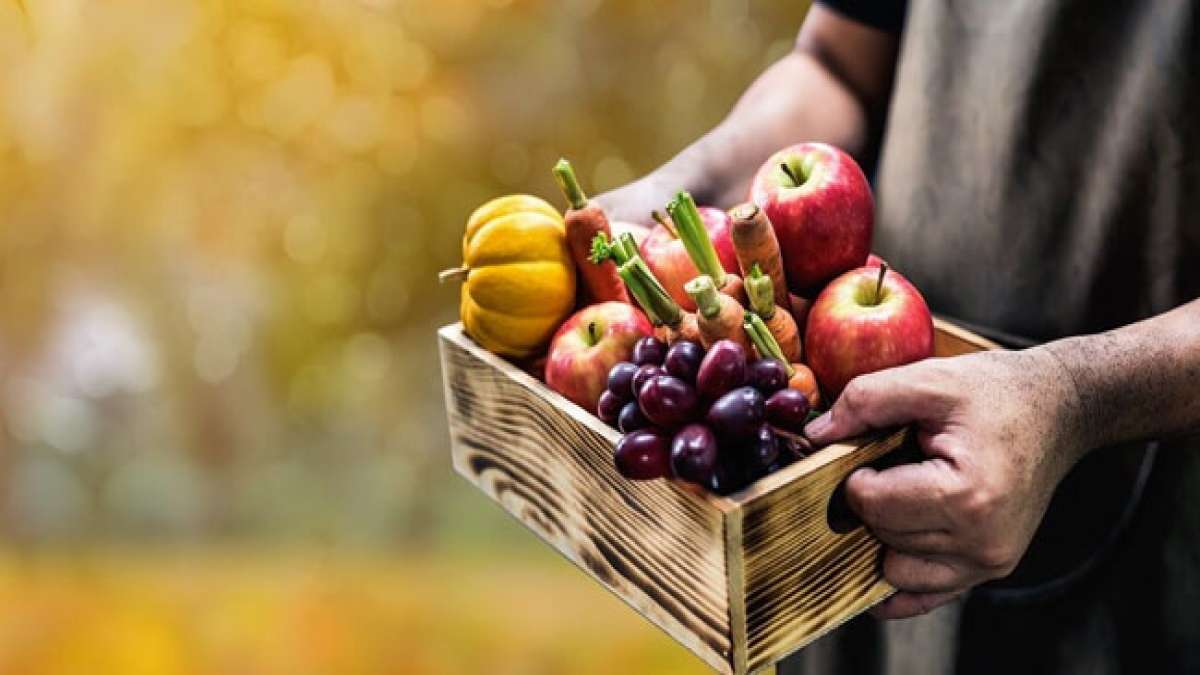 Entdecken Sie die spirituelle Bedeutung des Erntedankfests - Ein Tag des Lobes