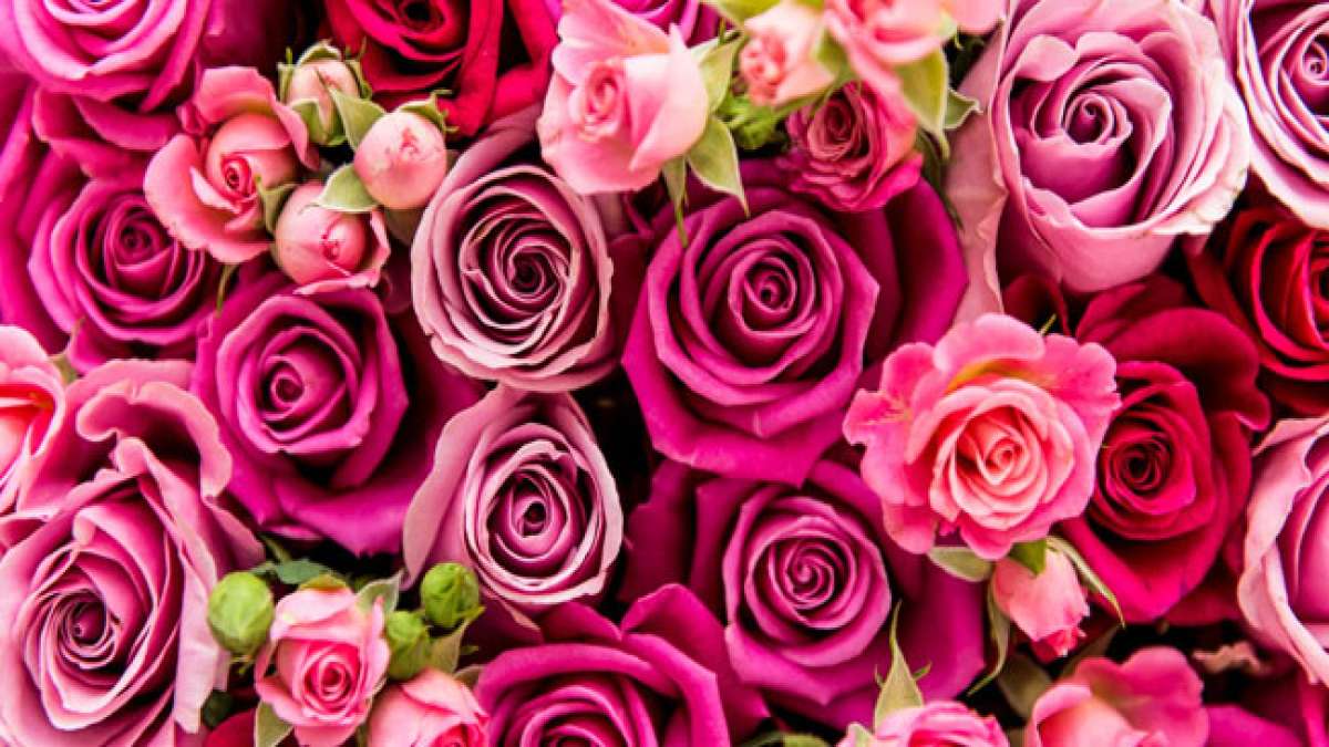 Das Symbol und die Tradition dieses Tages ist der Valentinsgruß, der nicht nur von Verliebten, sondern auch von Freunden, Kollegen, Nachbarn und guten Bekannten verschenkt wird.
