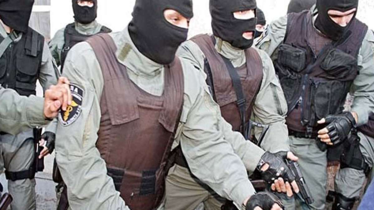 Einblick in die Entwicklung und Aufgaben der Föderalen Steuerpolizei.