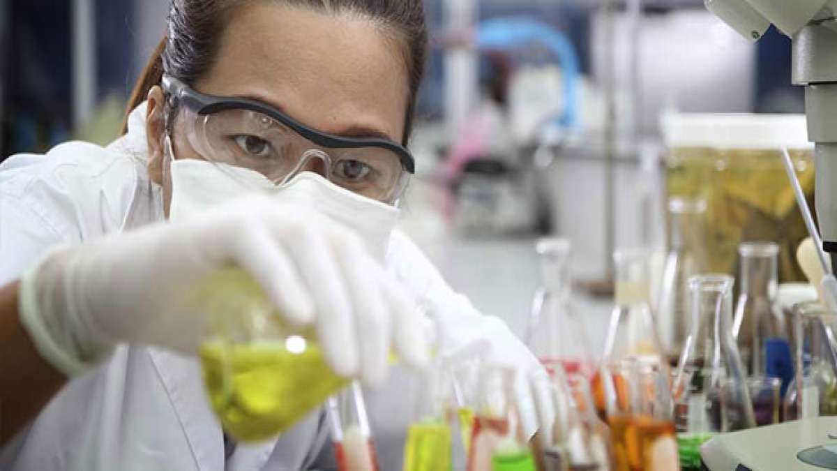 Der Berufsfeiertag der Chemiker, der Tag der Chemiker, wird Ende Mai gefeiert.