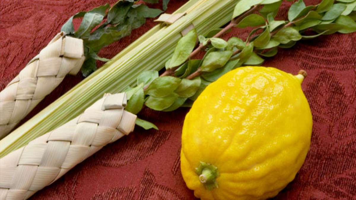 Sukkot lädt ein, die Bedeutung der einfachen Laubhütten zu erkennen, die uns daran erinnern, dass Sicherheit nicht nur von Dächern kommt, sondern von unserer Fürsorge füreinander.