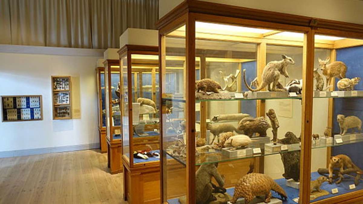 Feiern Sie diesen globalen Kulturanlass, der Museen aus aller Welt in den Mittelpunkt rückt.