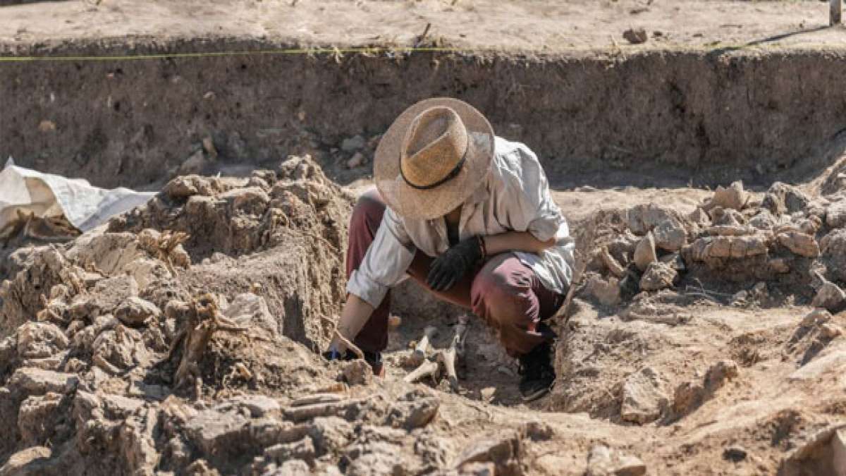Der Berufsfeiertag "Tag des Archäologen" wird Mitte August begangen.