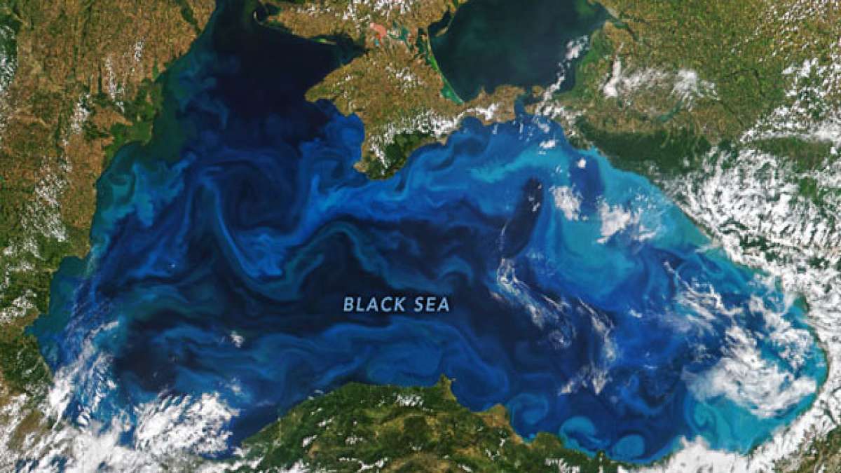 Zu den Feierlichkeiten gehören verschiedene Aktionen von Ökologen und Umweltschützern zum Schutz des Schwarzen Meeres.