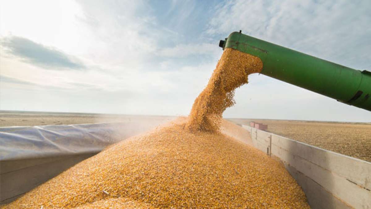 Im Rahmen von Festveranstaltungen werden die Landarbeiter und der gesamte agroindustrielle Komplex geehrt.