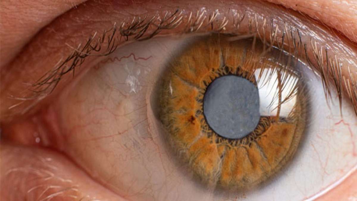 Die Aktivitäten an diesem Tag zielen auf die Probleme der Frühdiagnose und Behandlung dieser Krankheit ab. Die Aktivitäten an diesem Tag zielen auf die Probleme der Frühdiagnose und Behandlung dieser Krankheit ab.