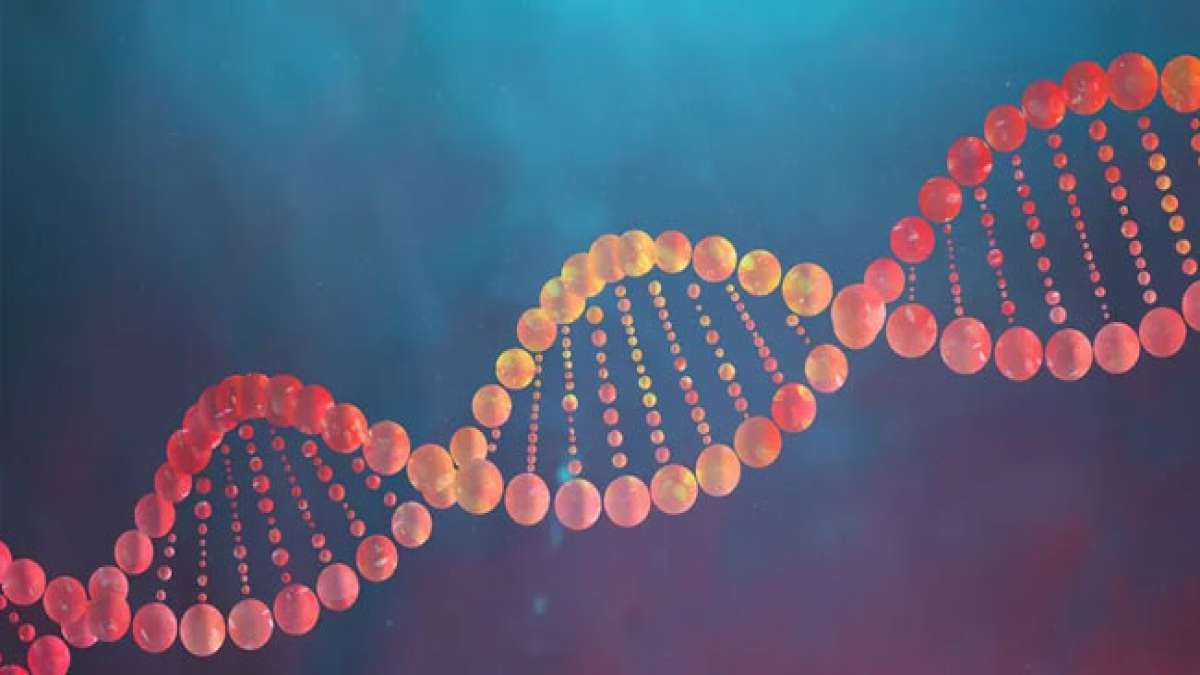 Tauchen Sie ein in die faszinierende Welt der DNA am Welt-DNA-Tag am 25. April