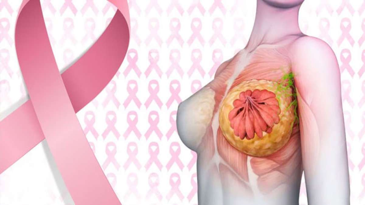 Am 15. Oktober wird der Weltbrustkrebstag begangen. An diesem Tag stehen alle Frauen im Mittelpunkt, um auf die wichtige Früherkennung aufmerksam zu machen. Am 15. Oktober wird der Weltbrustkrebstag begangen. An diesem Tag stehen alle Frauen im Mittelpunkt, um auf die wichtige Früherkennung aufmerksam zu machen.