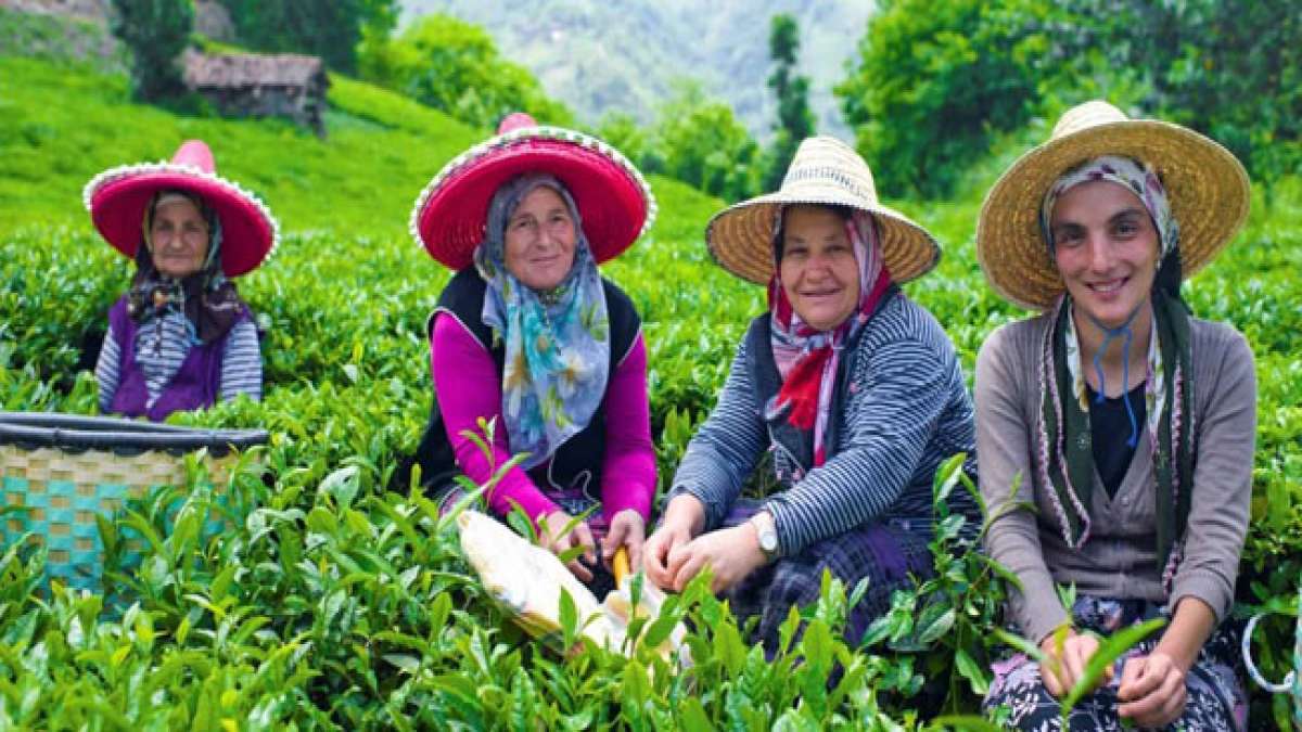 Erfahren Sie, wie diese Frauen in ländlichen Gebieten einen entscheidenden Beitrag zur nachhaltigen Entwicklung leisten. Erfahren Sie, wie diese Frauen in ländlichen Gebieten einen entscheidenden Beitrag zur nachhaltigen Entwicklung leisten.