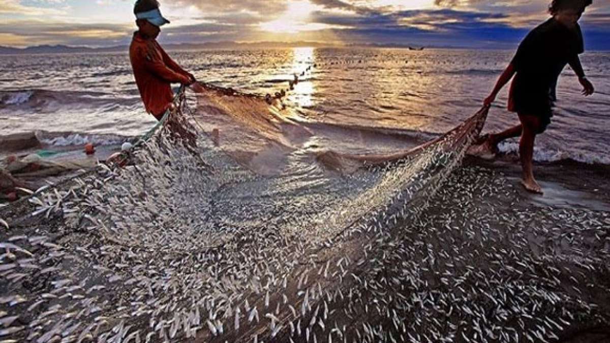 Weltfischertag: Gemeinsam für nachhaltige Fischerei und gesunde Ozeane. Weltfischertag: Gemeinsam für nachhaltige Fischerei und gesunde Ozeane.