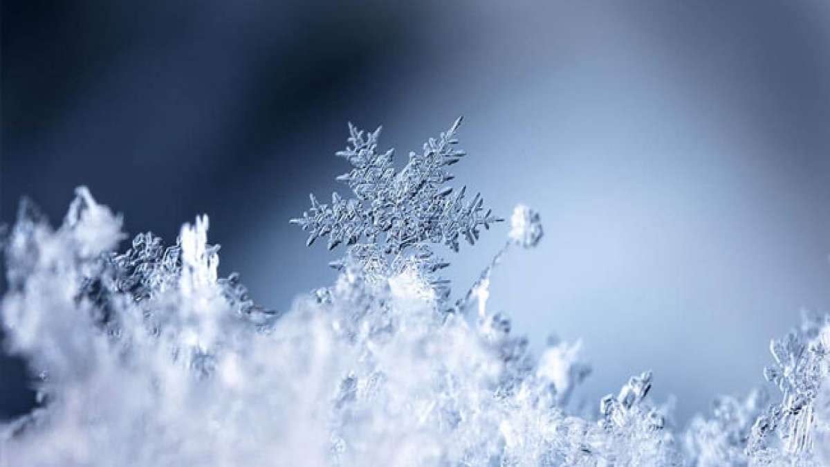 Entdecken Sie den Weltschneetag - Eine Hommage an den Wintersport und die Freude am Schnee.