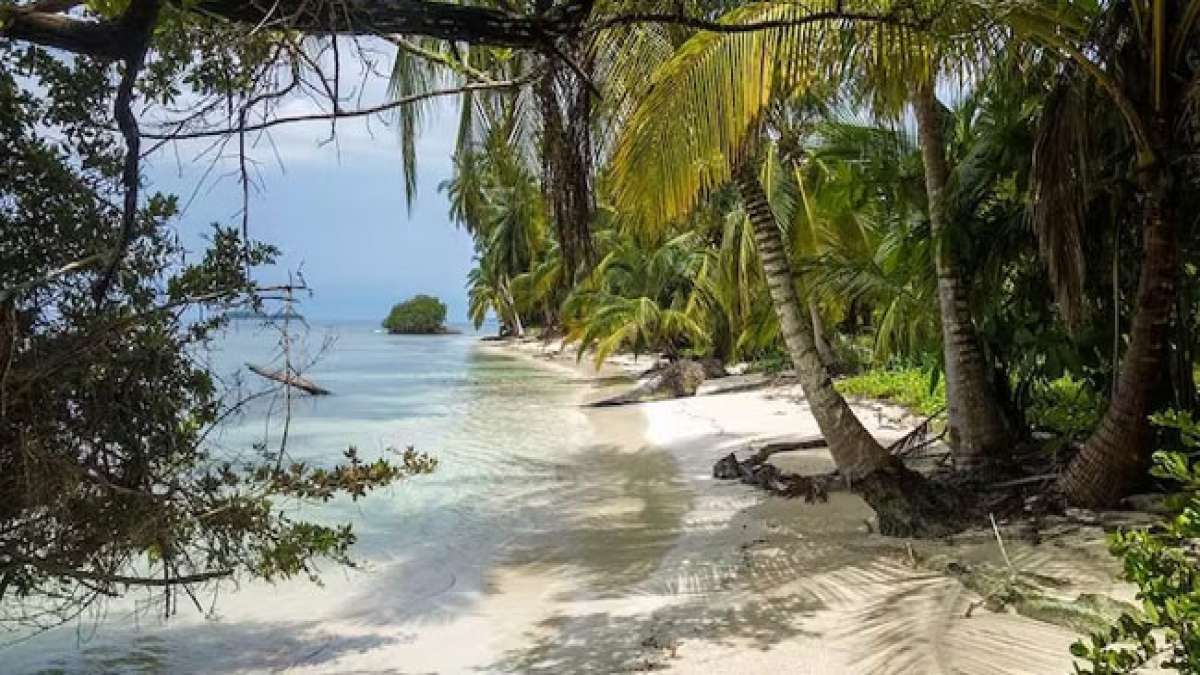 Der Internationale Tag der Tropen wird in der letzten Juni-Dekade gefeiert. Er wird seit 2016 begangen.