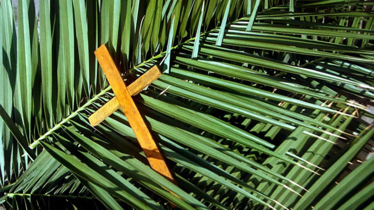 Feiern Sie den Palmsonntag - den triumphalen Einzug Jesu in Jerusalem! Feiern Sie den Palmsonntag - den triumphalen Einzug Jesu in Jerusalem!