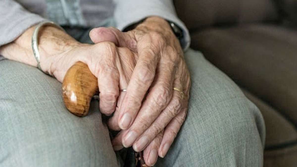 Der Tag soll die Öffentlichkeit für dieses wichtige Thema sensibilisieren und zur Bekämpfung des Missbrauchs beitragen. Der Tag soll die Öffentlichkeit für dieses wichtige Thema sensibilisieren und zur Bekämpfung des Missbrauchs beitragen.