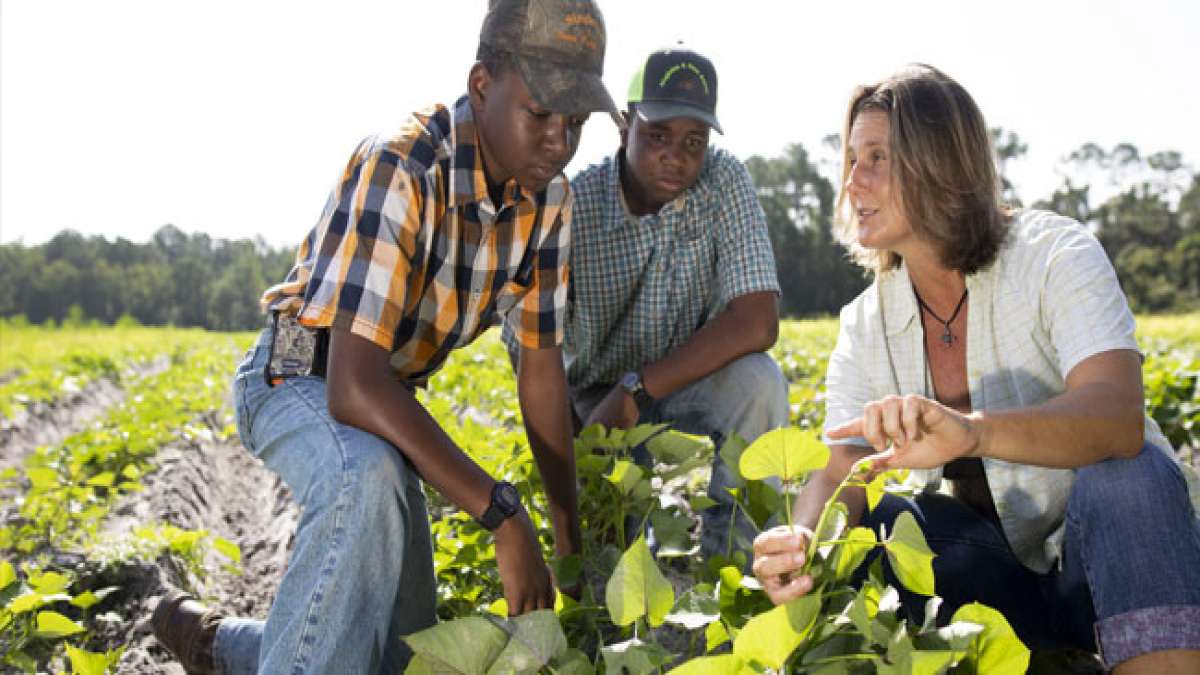Am 2. Montag im Oktober ehrt Florida die Landwirte des Bundesstaates mit einem Tag voller Feierlichkeiten und Festivals. Am 2. Montag im Oktober ehrt Florida die Landwirte des Bundesstaates mit einem Tag voller Feierlichkeiten und Festivals.