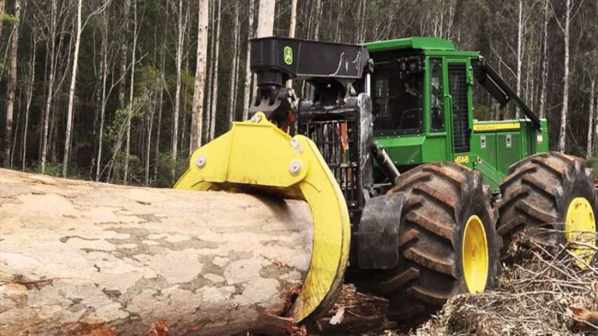 In der ersten Oktoberwoche würdigt Ohio seine Wälder und die Forstindustrie, die einen wichtigen Beitrag zur Wirtschaft und Lebensqualität des Bundesstaates leisten.