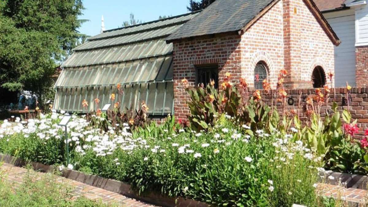 Ehren Sie den Geburtstag des legendären Luther Burbank und den Tag des Baumes in Kalifornien.