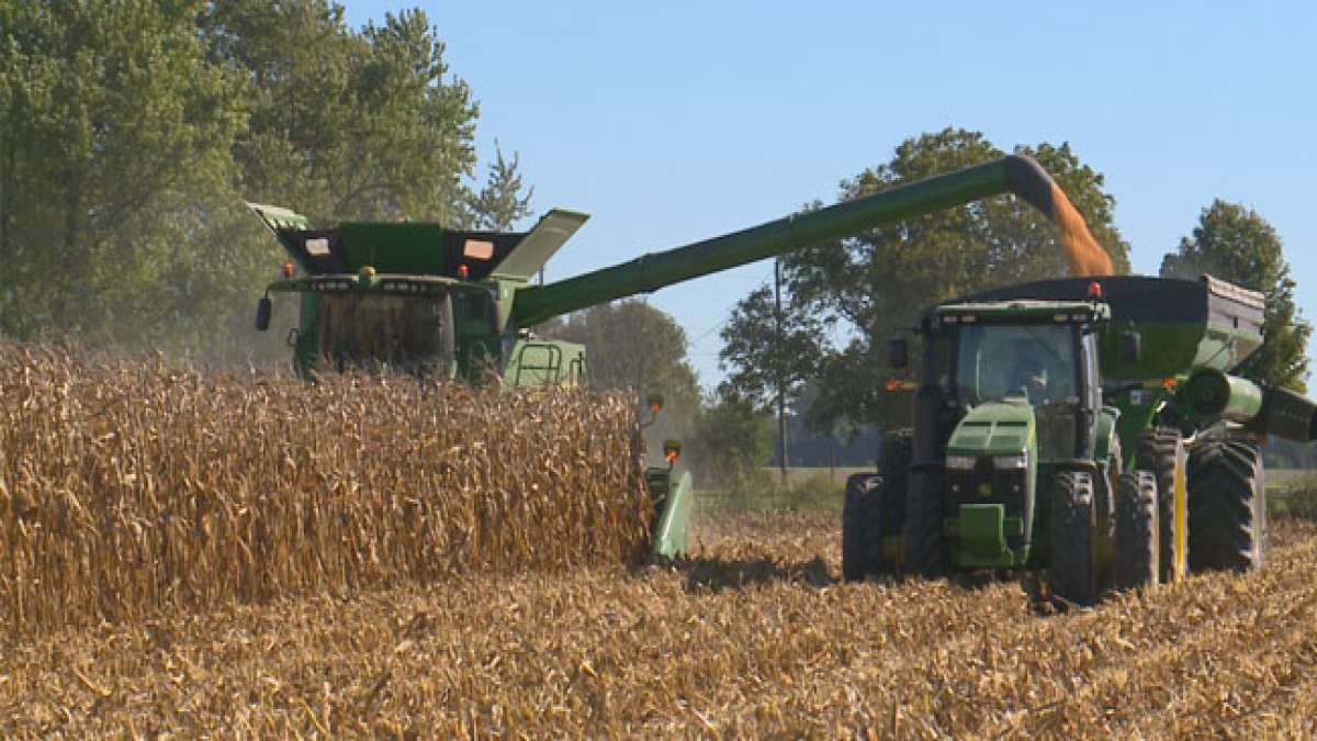 Entdecken Sie die Vielfalt und Bedeutung der Landwirtschaft in Ohio.