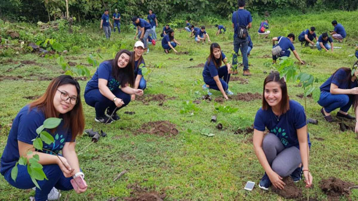 Feiern Sie den Tag des Baumes auf den Philippinen und setzen Sie ein Zeichen für die Umwelt.