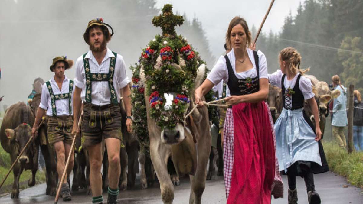 Von festlich geschmückten Kranzrindern auf den Almen bis zu lebhaften Feierlichkeiten im Tal – diese einzigartige Veranstaltung markiert das Ende des Sommers und lässt Sie die bunte Vielfalt der Allgäuer Traditionen hautnah erleben. Von festlich geschmückten Kranzrindern auf den Almen bis zu lebhaften Feierlichkeiten im Tal – diese einzigartige Veranstaltung markiert das Ende des Sommers und lässt Sie die bunte Vielfalt der Allgäuer Traditionen hautnah erleben.