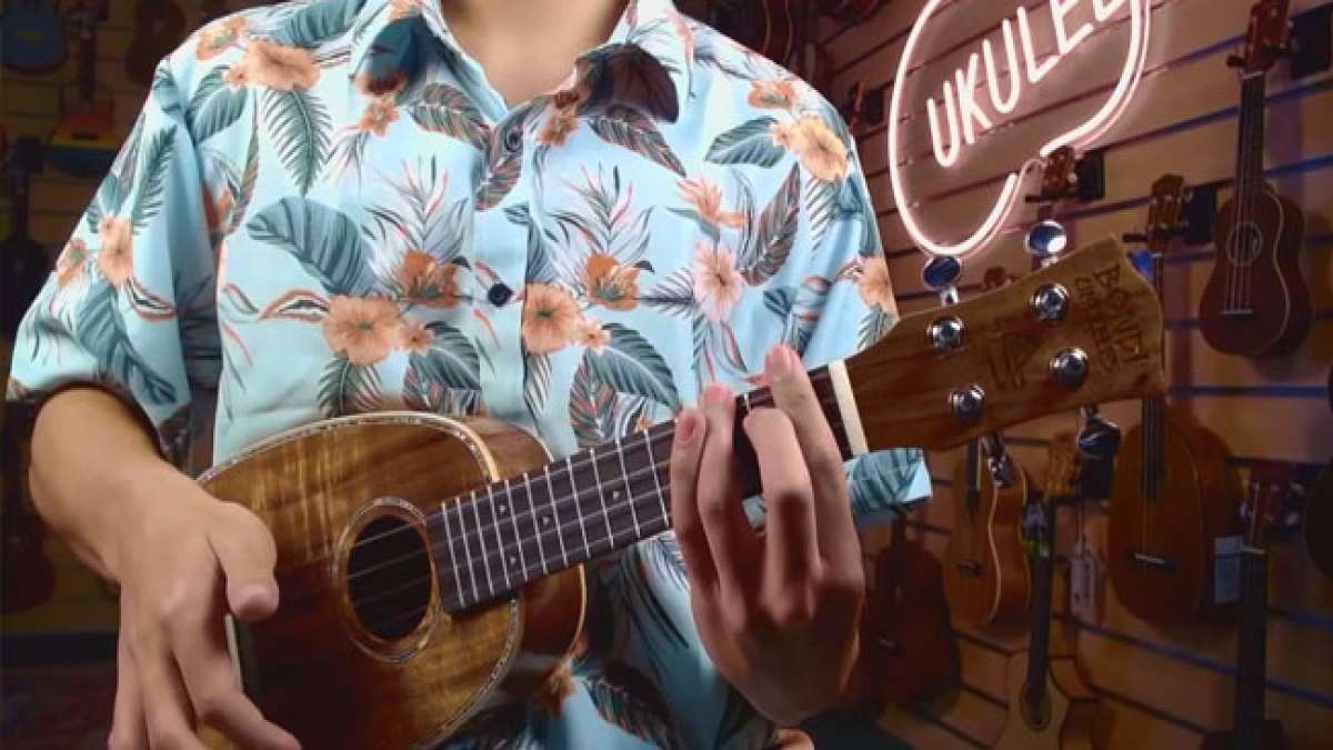 Tauchen Sie ein in die faszinierende Welt der Ukulele, deren Name "springender Floh" auf ihre hawaiianischen Wurzeln verweist, während sie von portugiesischen Einwanderern auf die Inseln gebracht wurde.