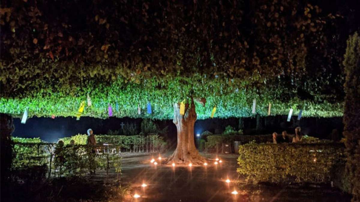 Entdecken Sie Stadt- und Kirchenführungen sowie Gespräche, Diskussionen, gemeinsame Gebete und Spiritualität. Entdecken Sie Stadt- und Kirchenführungen sowie Gespräche, Diskussionen, gemeinsame Gebete und Spiritualität.