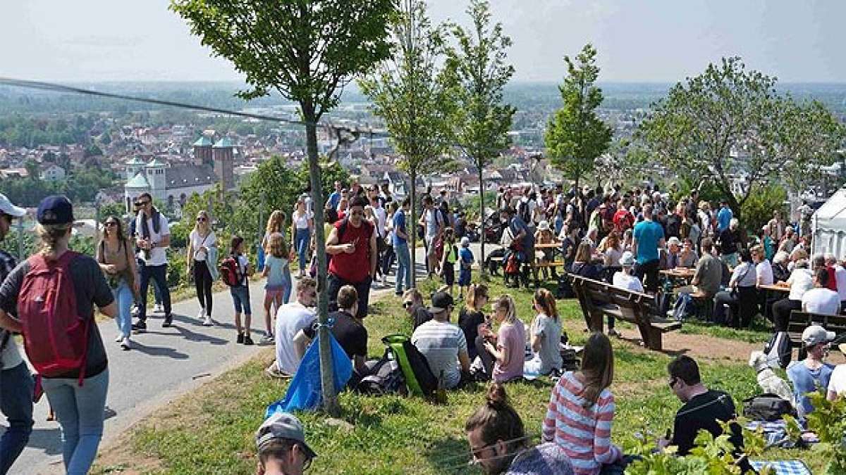 Tauchen Sie ein in die Welt des südhessischen Weingenusses und lassen Sie sich von den Winzern verwöhnen, während Sie ihre besten Tropfen und Geheimnisse der Winzerkunst entdecken.