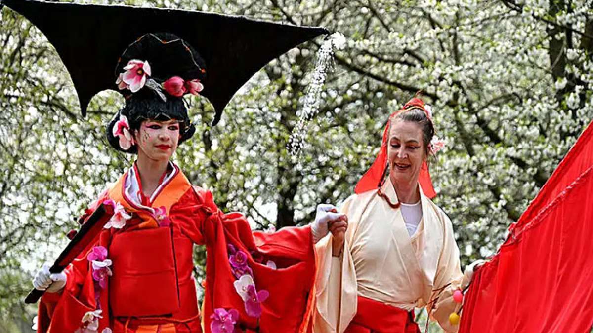Ein einzigartiges Erlebnis, bei dem Besucher*innen ihr eigenes Picknick mitbringen können, ganz nach japanischer Tradition.
