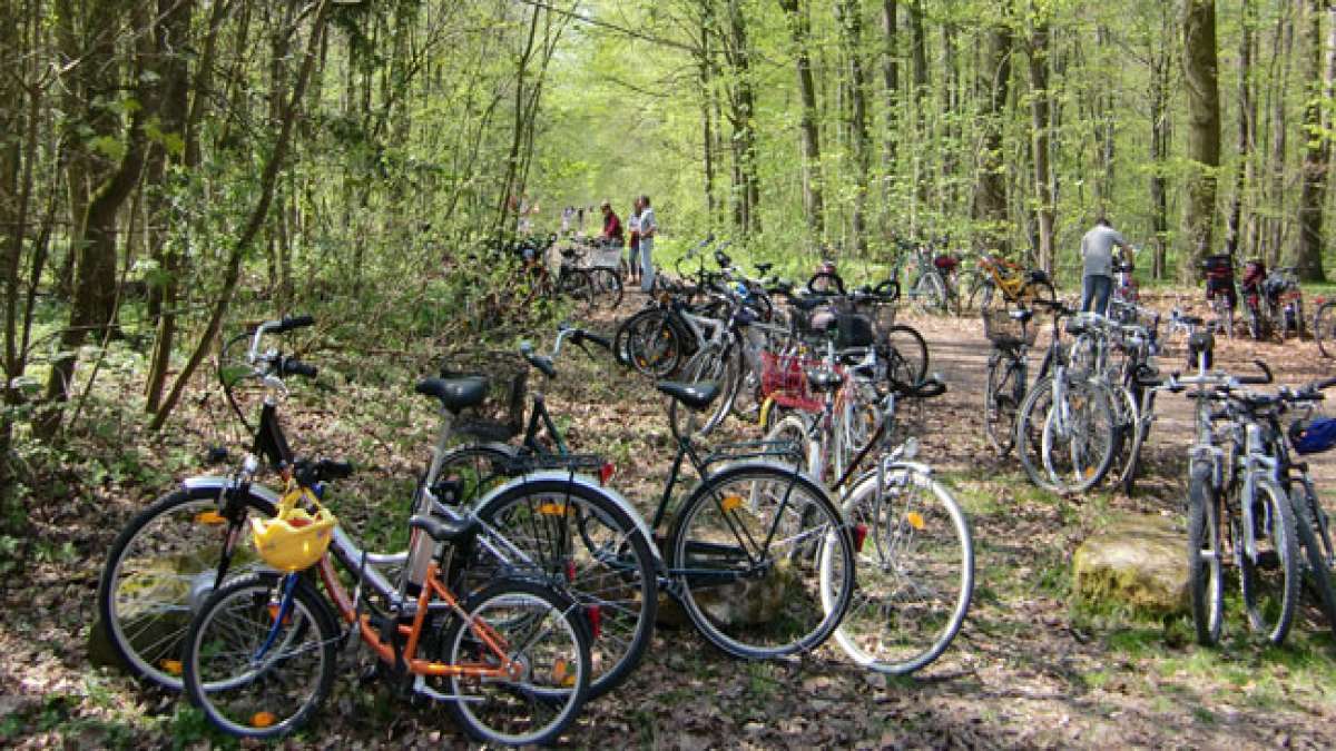 Erleben Sie den Deistertag: Ein fesselndes Event voller Abenteuer und Wissenswertem inmitten der malerischen Natur des Deisters. Erleben Sie den Deistertag: Ein fesselndes Event voller Abenteuer und Wissenswertem inmitten der malerischen Natur des Deisters.