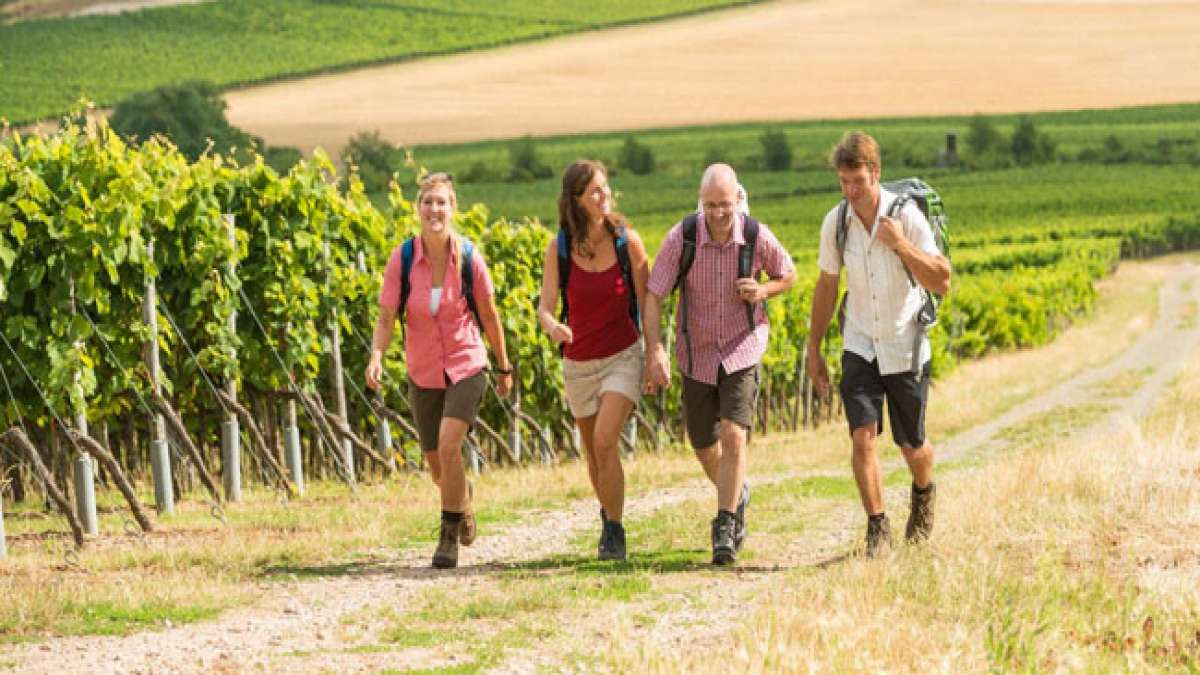 Genießen Sie gutbürgerliche Küche und verkosten Sie die Weine direkt im Herzen von Mainz-Ebersheim - ein Erlebnis für alle Sinne!
