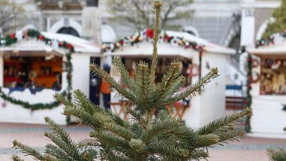 Tauchen Sie ein in die zauberhafte Atmosphäre des Adventsmarkts in Hartenberg-Münchfeld! Tauchen Sie ein in die zauberhafte Atmosphäre des Adventsmarkts in Hartenberg-Münchfeld!