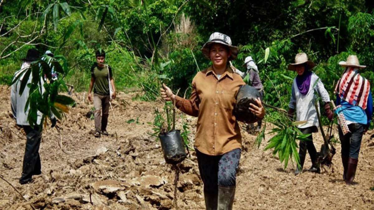 Der Nationale Tag der Walderhaltung in Thailand, der am 9. Januar 1990 eingeführt wurde, soll das Bewusstsein für die Erhaltung der Wälder schärfen und die Abholzung der Wälder im Land bekämpfen.