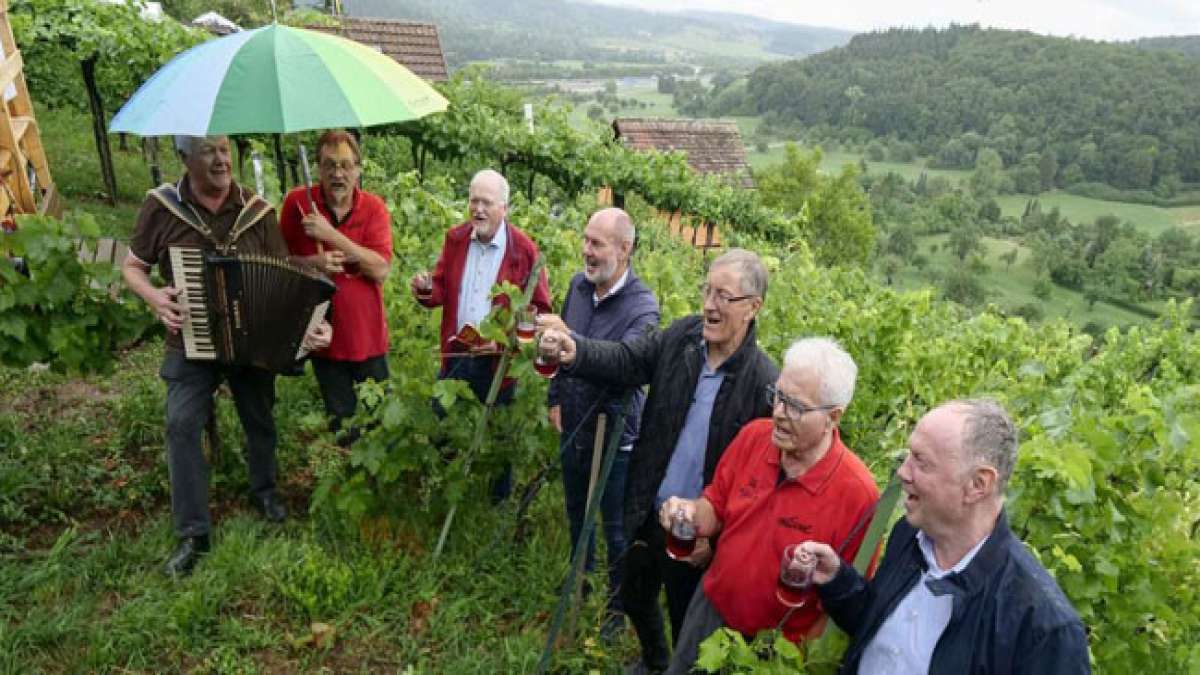 Probieren Sie regionale Weine und Spezialitäten, während Sie die gemütliche Stimmung dieses besonderen Weinfests erleben.