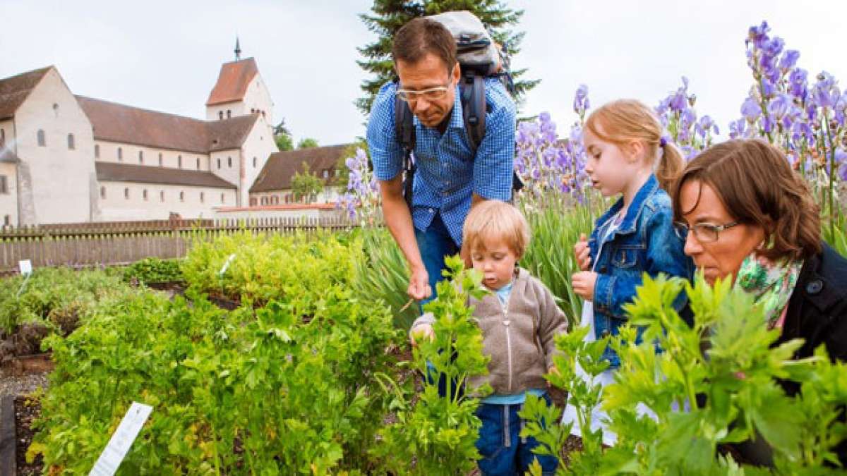 Feiern Sie die grüne Kraft aromatischer Pflanzen in einer Region, die wie ein großer Kräutergarten duftet. Feiern Sie die grüne Kraft aromatischer Pflanzen in einer Region, die wie ein großer Kräutergarten duftet.