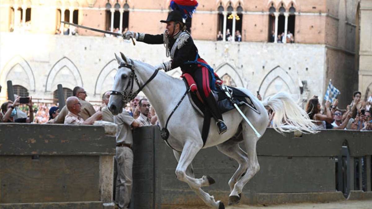 Erleben Sie das faszinierende Palio-Pferderennen in Siena, Italien, auf dem historischen Hauptplatz "Il Campo".