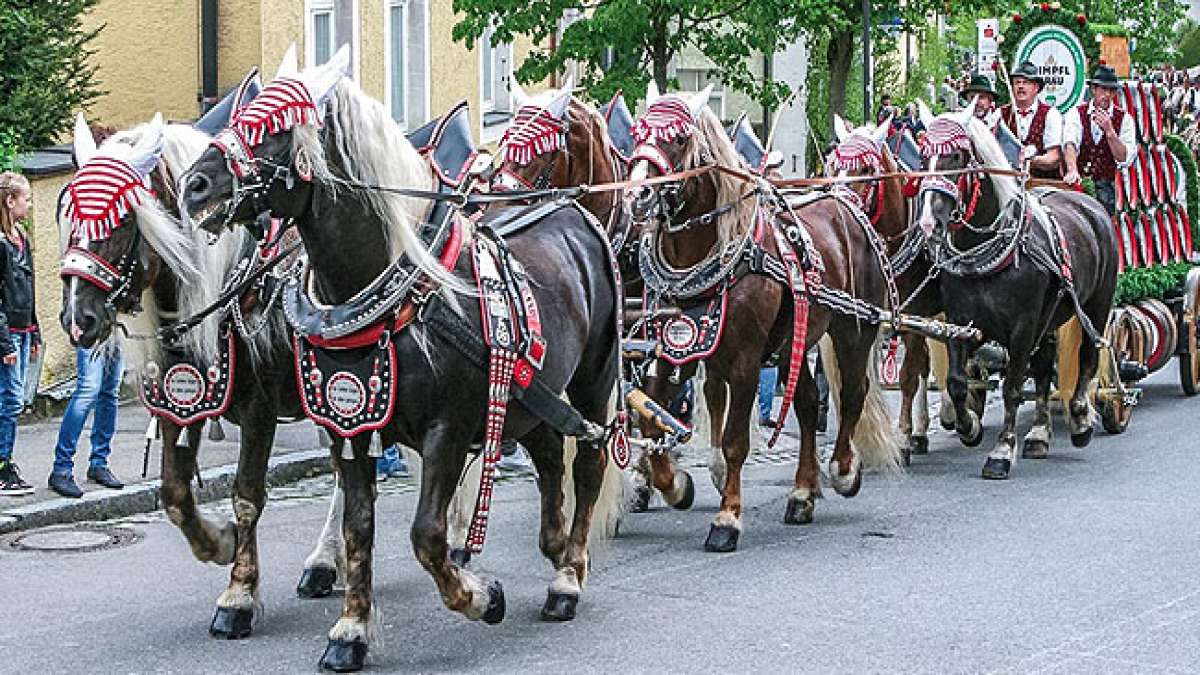 Seit 1412 zieht der beeindruckende Pfingstritt jährlich Tausende von Besuchern an – ein lebendiges Zeugnis der tief verwurzelten Kultur und Geschichte der Region.