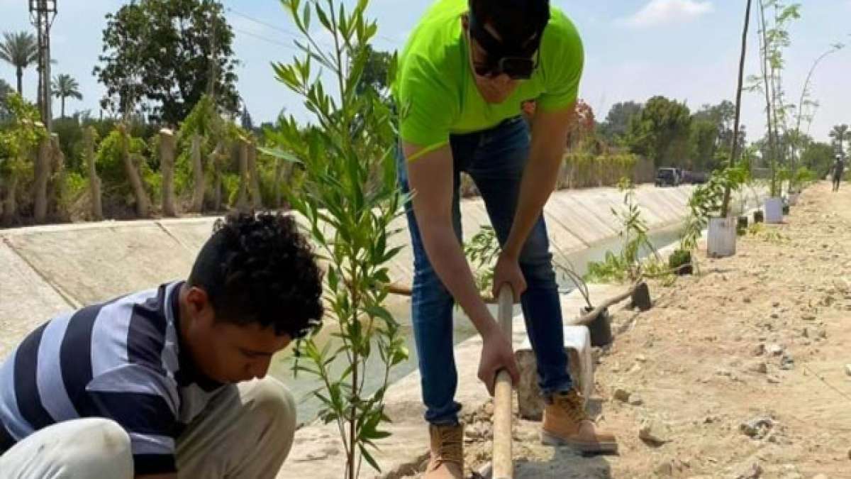 Ein Arboretum ist eine Sammlung von Bäumen, die zu wissenschaftlichen oder pädagogischen Zwecken genutzt wird und deren Wurzeln bis zu den ägyptischen Pharaonen zurückreichen.