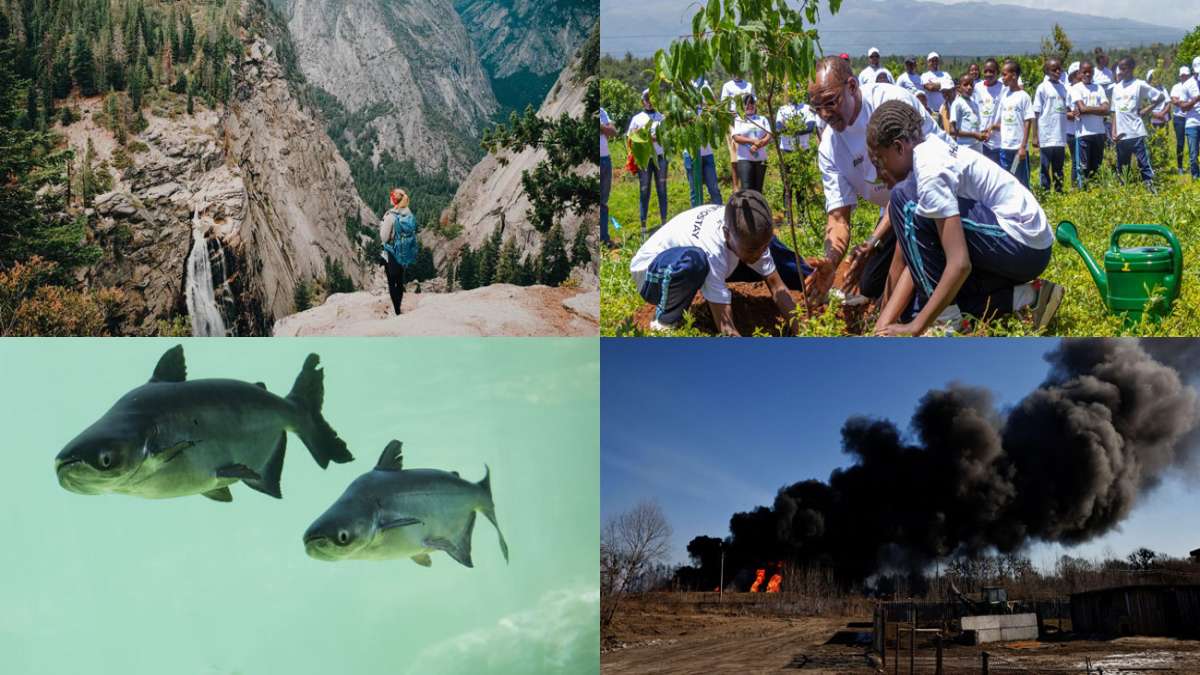 Kalender der Umwelt-Aktionstage: Feiertage und Jahresdaten