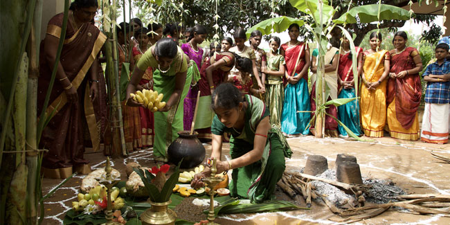 Jallikattu im indischen Bundesstaat Tamil Nadu - Thai Pongal, tamilisches Erntefest in Indien