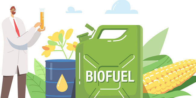 10. August - Internationaler Tag des Biodiesels