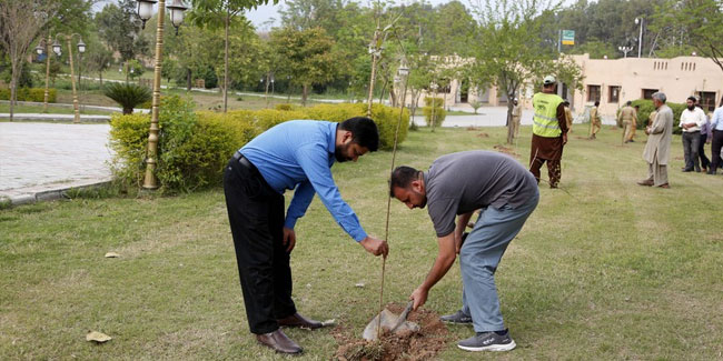 18. August: Tag des Baumes in Pakistan