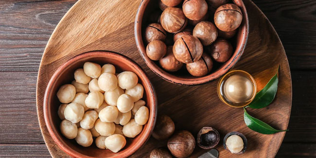 4. September - Nationaler Tag der Macadamianuss