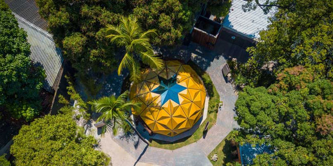 21. September: Tag des Baumes in Brasilien